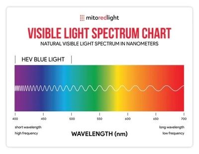 Red Light Therapy for Healing &amp; Regeneration