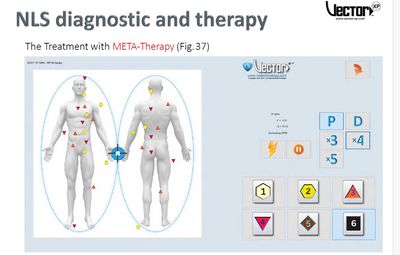 Quantum Healing - NLS &amp; Meta-Therapy