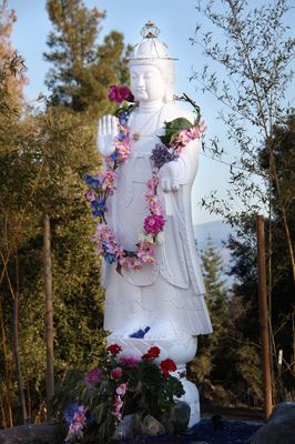 Shambhala Warriors Prayer