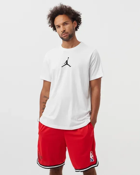 ​T-SHIRT UOMO AIR JORDAN JUMPMAN DRI FIT
