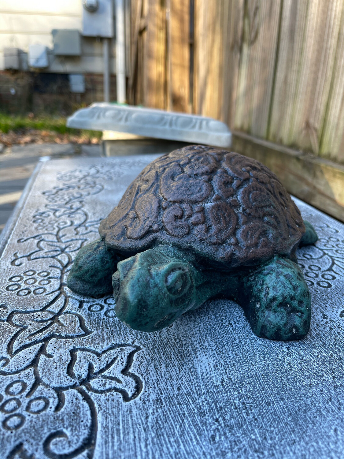 Celtic Shell Turtle