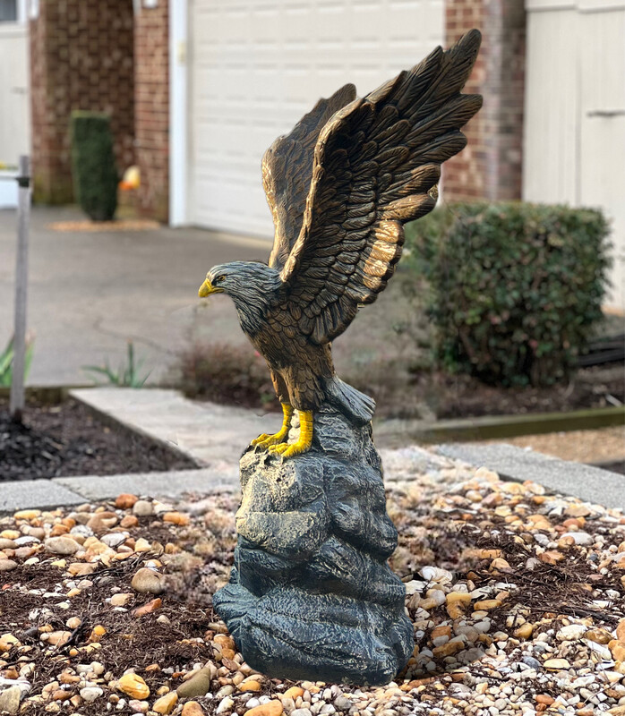 Large Eagle On Rock Large Eagle On Rock