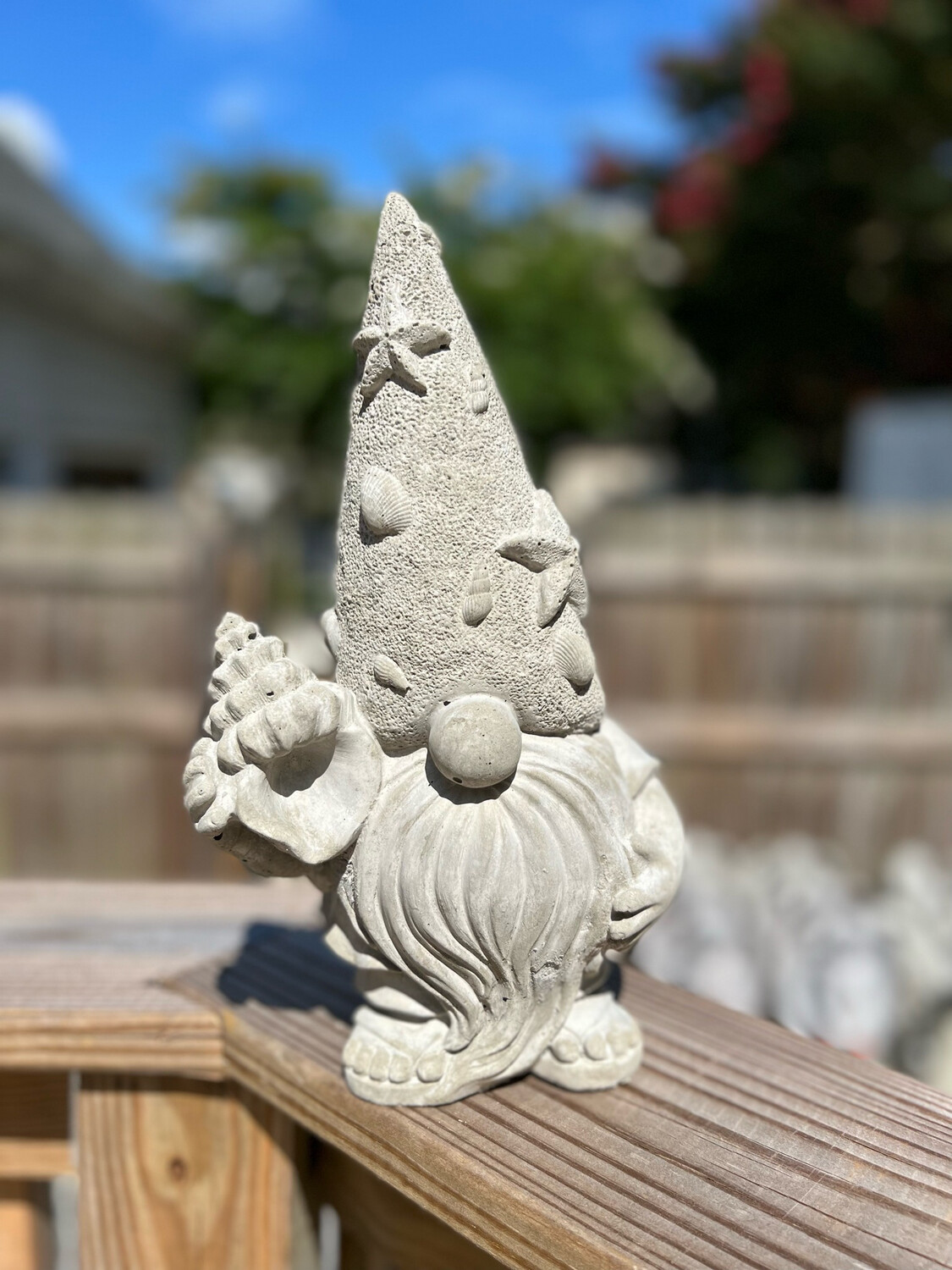 Shell Hat Gnome