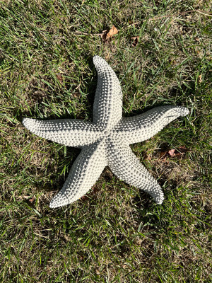 Detailed Starfish