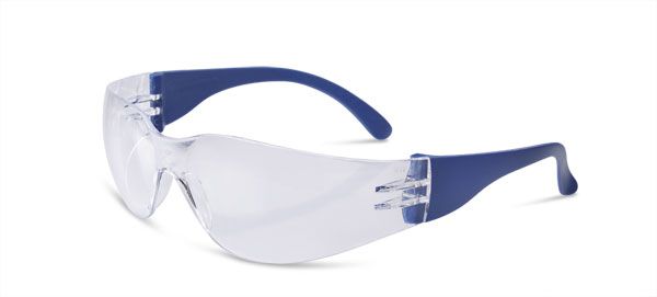 Beeswift Everson Safety Glasses