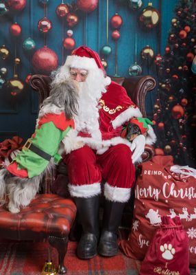 SANTA PAWS 2024 INCLUDED IMAGE