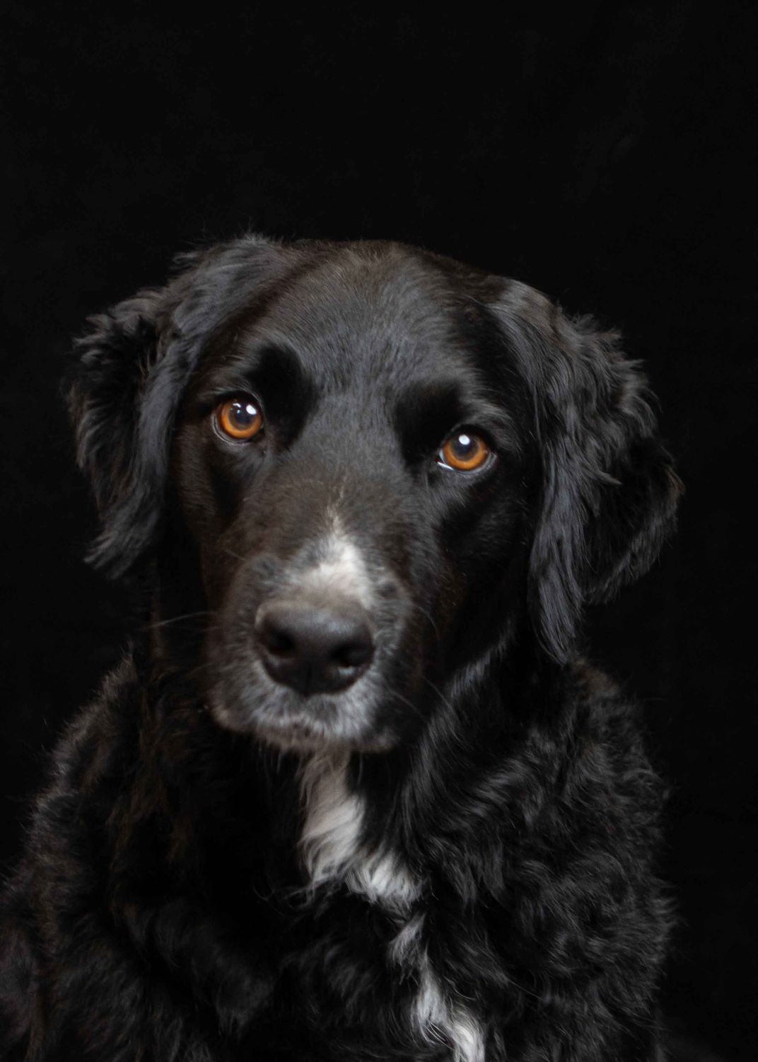 30 DIGITAL IMAGES PRICED AT £6 EACH After purchasing, please message me with the image numbers you’d like included from your gallery.