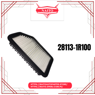 Filtro de Aire 28113-1R100