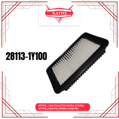 Filtro de Aire 28113-1Y100