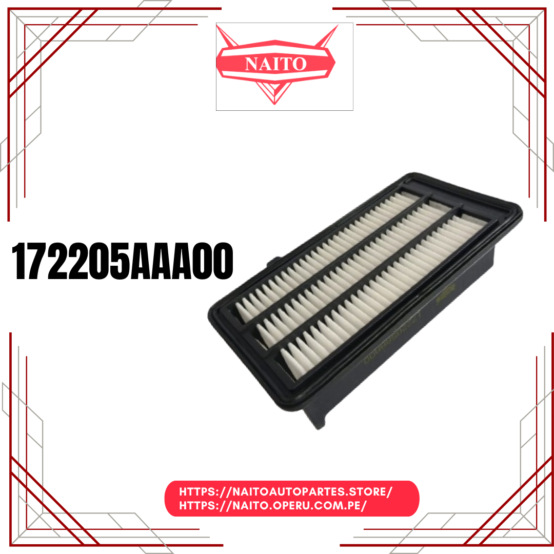 Filtro de Aire 172205AAA00