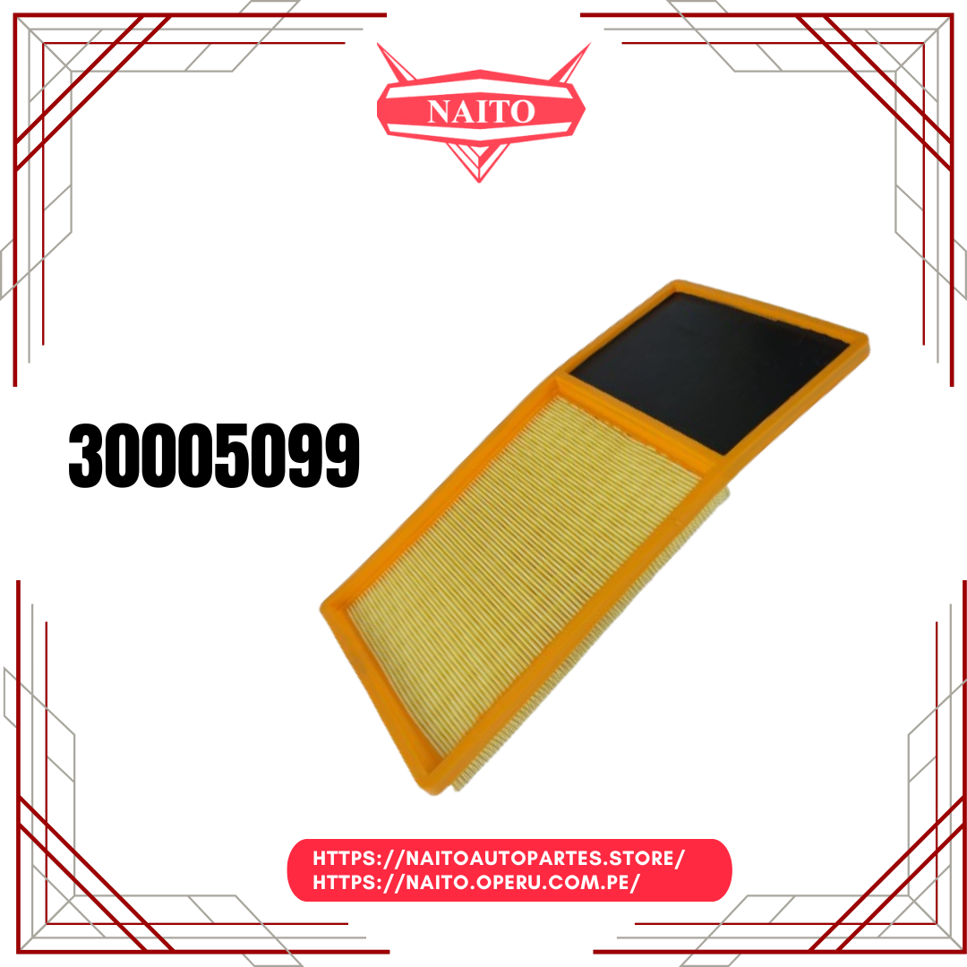 Filtro de Aire 30005099