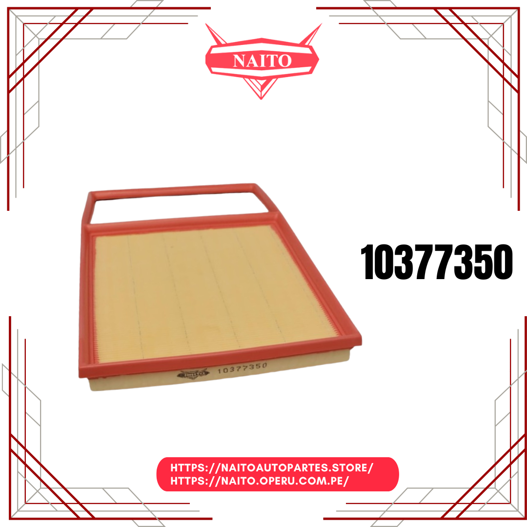 Filtro de Aire 10377350