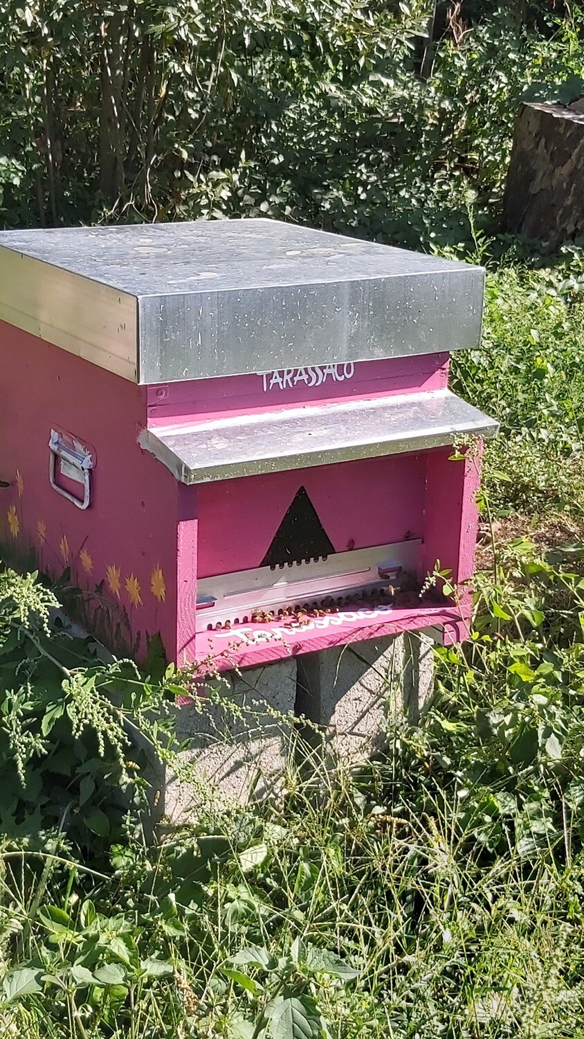 Dona e adotta l&#39;arnia Tarassaco- Pacchetto Premium