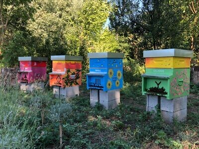 Dona e adotta l&#39;arnia - Pacchetto Basic