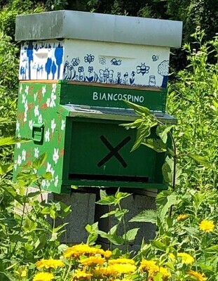 Dona e adotta l&#39;arnia Biancospino - Pacchetto Premium