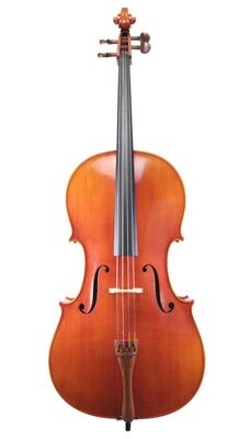 Cello, 4/4 Paesold Nr. 610 1991
