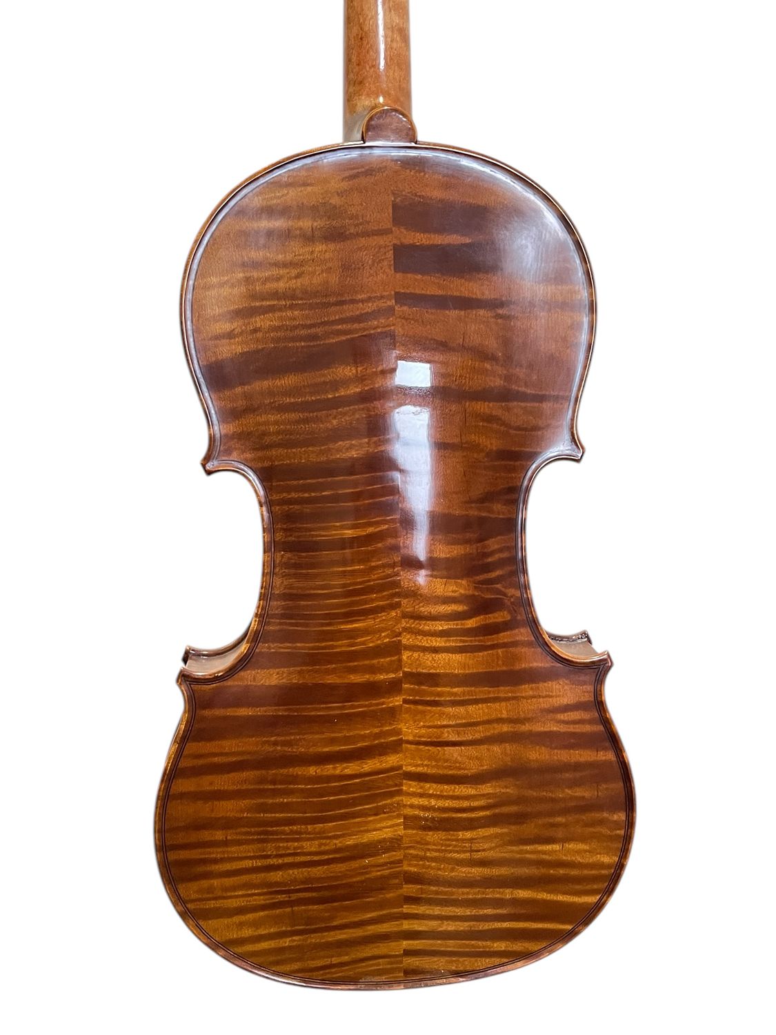 弦楽器 GEWA instrumentenbau MITTENWALD-ADORF ドイツ製 GEWA ROM