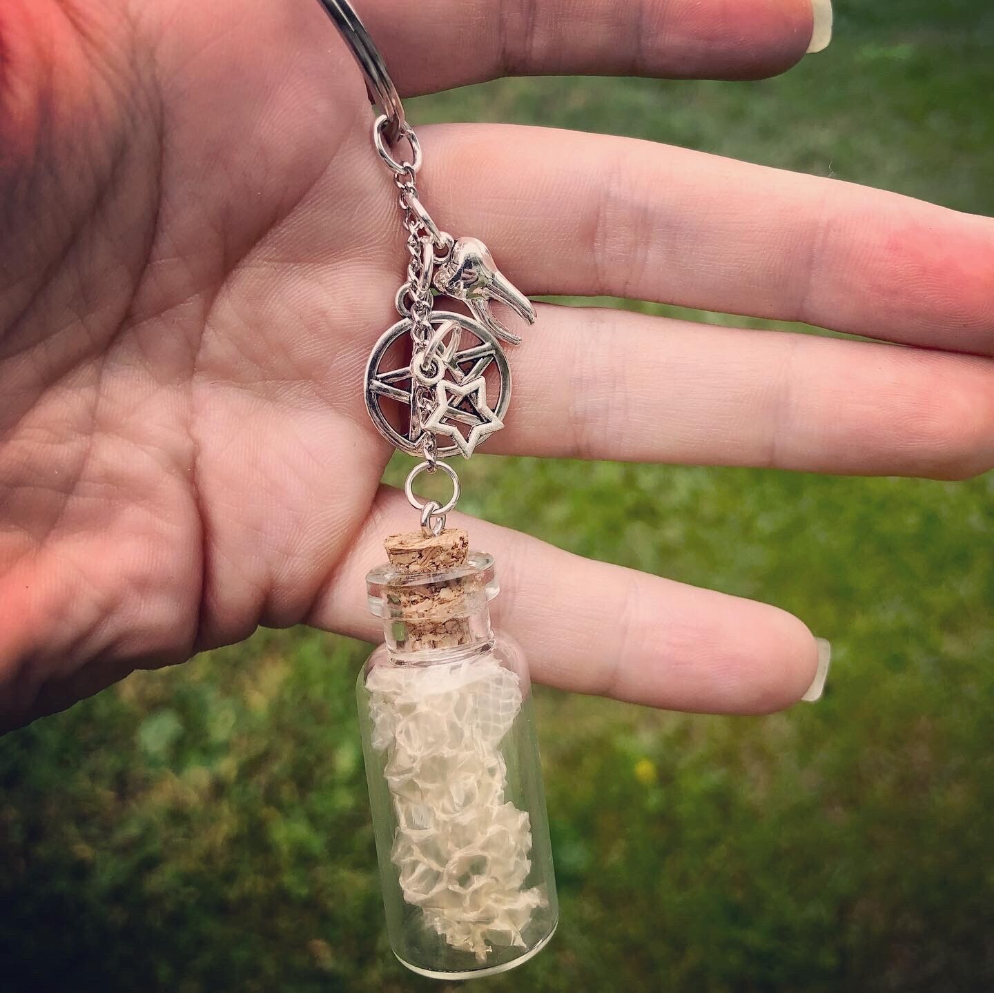 Snake Shed Jewelry
