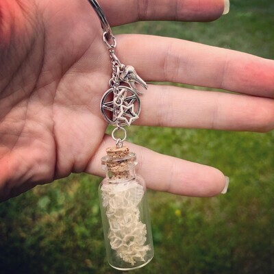 Snake Shed Jewelry