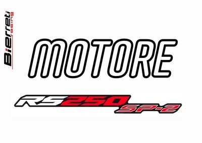 Motore RS250 SP-2