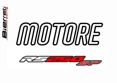 Motore RS250 SP
