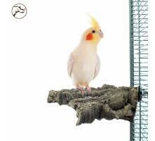 Back Zoo Nature Corky Chew Medium
