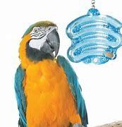 Daffy For Taffy Daffy For Taffy