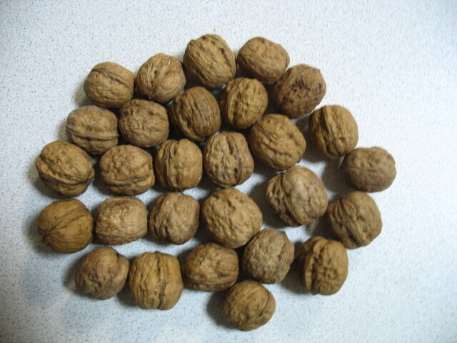 Walnoten in dop 1 Kg.