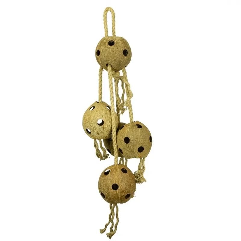 Back Zoo Nature Coconut Chain XL Back Zoo Nature Coconut Chain XL