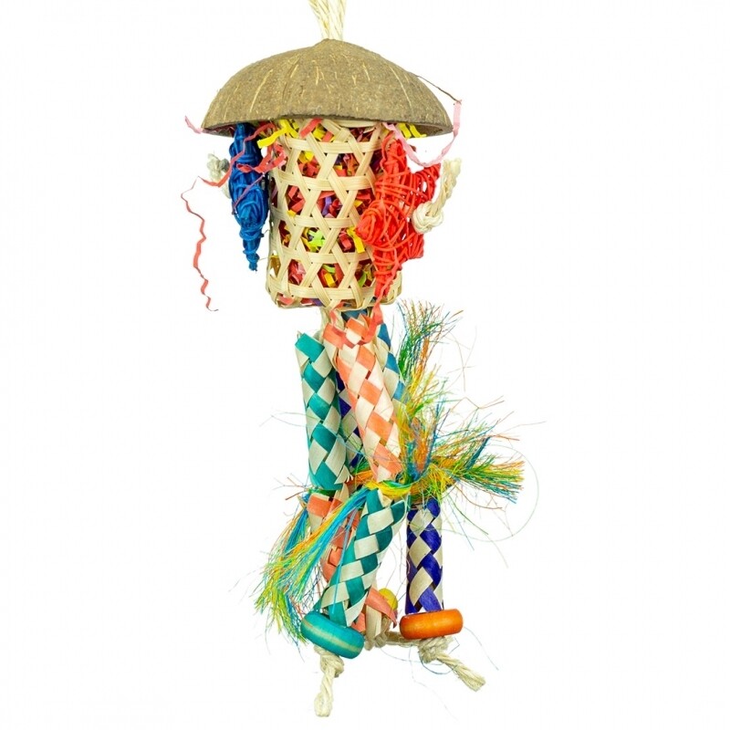 Back Zoo Nature Firecracker Back Zoo Nature Firecracker