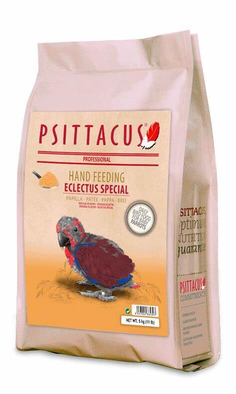 Psittacus Eclectus Special Hand Feeding 5kg.
