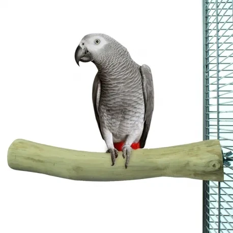 Java single perch large