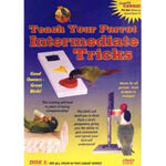 DVD Teach Your Parrot Intermediate Tricks