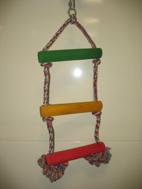 Reed Ladder 3