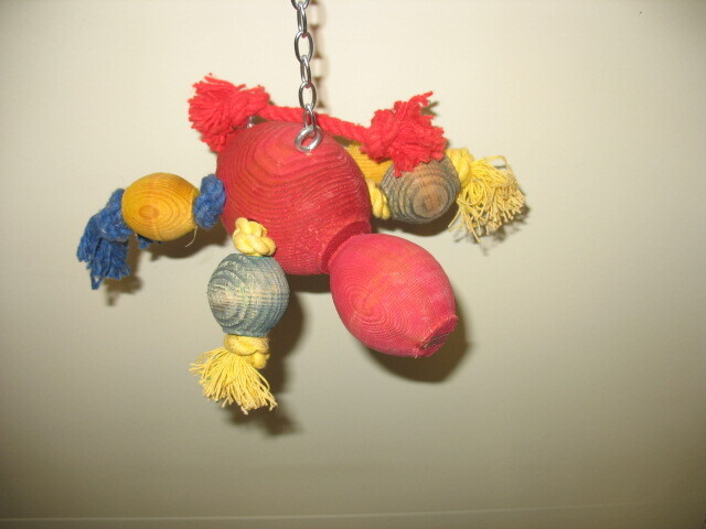 Spider met kop