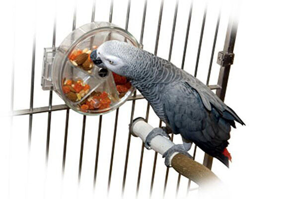 Treat Wheel voor Papegaaien