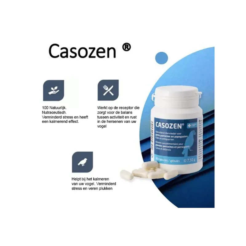 Casozen