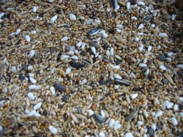 Aviseed Zuid-Amerikaanse parkieten mengeling 2,5 kg