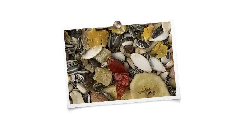 King Papegaaien met fruit "luxe" 5kg