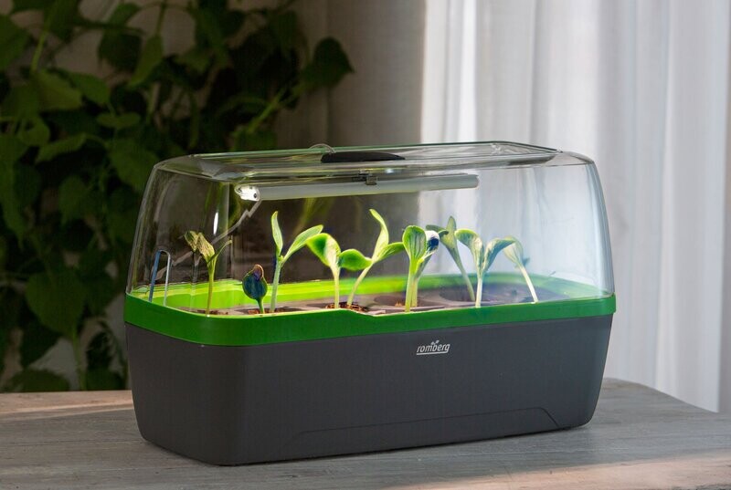Romberg BOQUBE M LED Gewächshaus für die Stecklinge grün + Heizmatte Romberg BOQUBE M LED Gewächshaus für die Stecklinge grün + Heizmatte