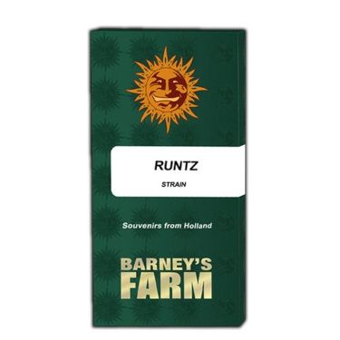 3x Runtz seeds Feminisiert