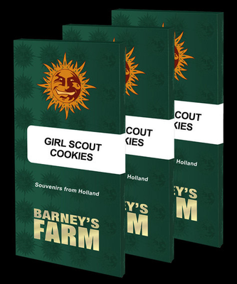 5X Girl Scout Cookies Feminisiert