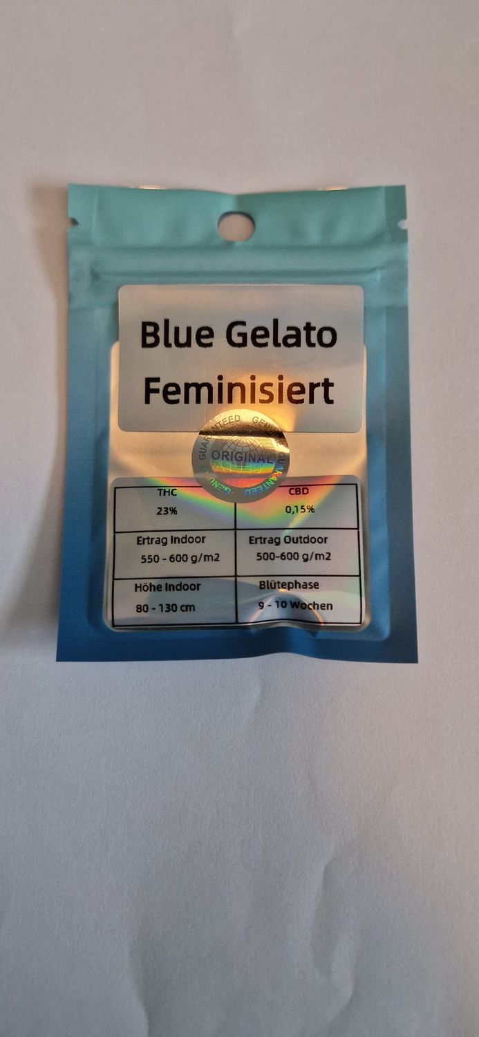 Souvenir Seeds 3x Blue Gelato Feminisiert zum Sammeln und Tauschen