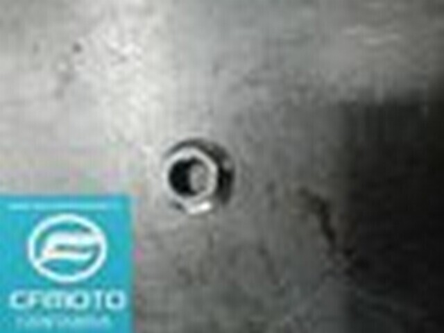 TUERCA STATOR GOES 450X USADA