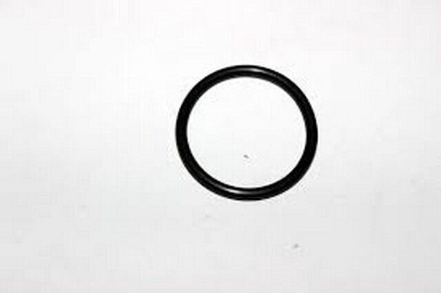 TORICA ASIENTO TERMOSTATO 30502-028000N