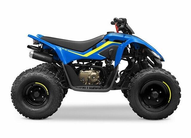 CFMOTO CFORCE 110 AZUL