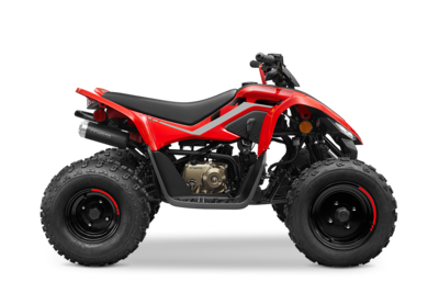 RECAMBIOS CFMOTO CFORCE 110 (CF110AY10)