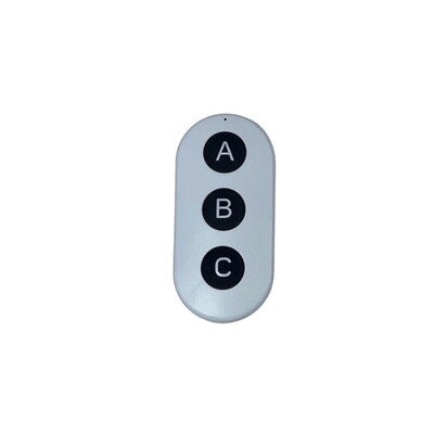 AdditionaL Remote Fob