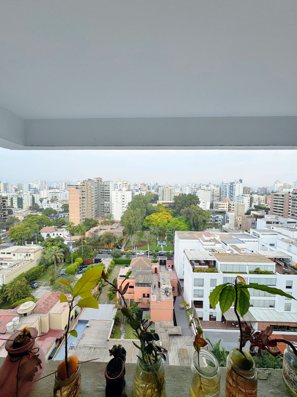 Los Eucaliptos / Dúplex