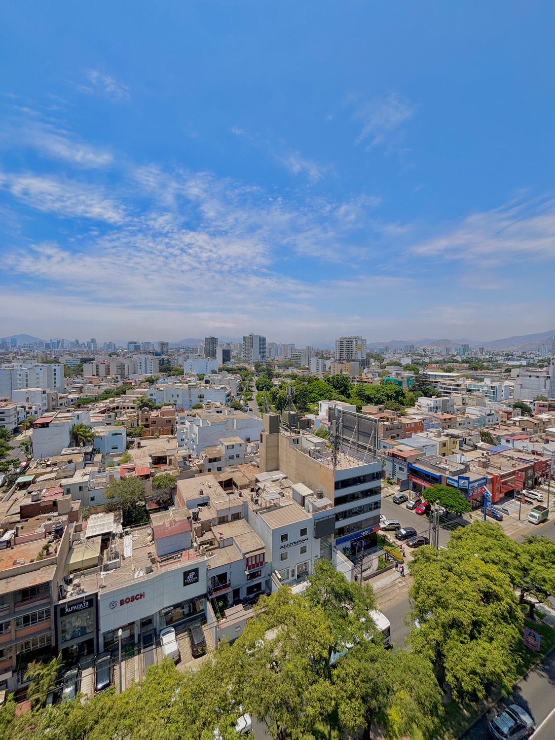 ( V)  Av. Benavides